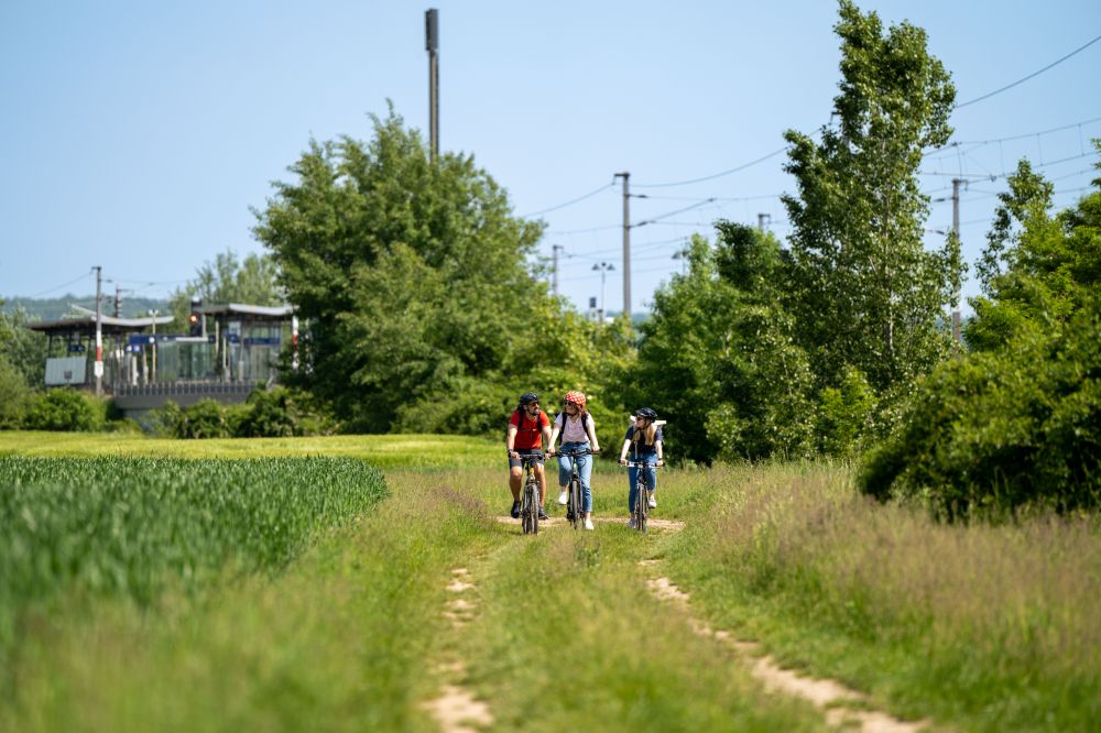 3 Menschen fahren Rad auf einem Weg in der Wiese